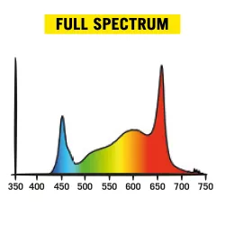 COP-FULL-SPECTRUM.webp