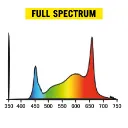 COP-FULL-SPECTRUM.webp