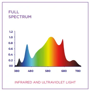 Screenshot 2026-03-14 101956.webp