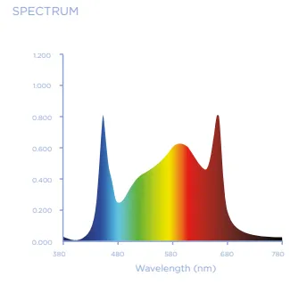 Screenshot 2026-03-14 102135.webp