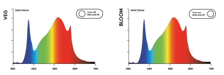 480W spectrum .webp