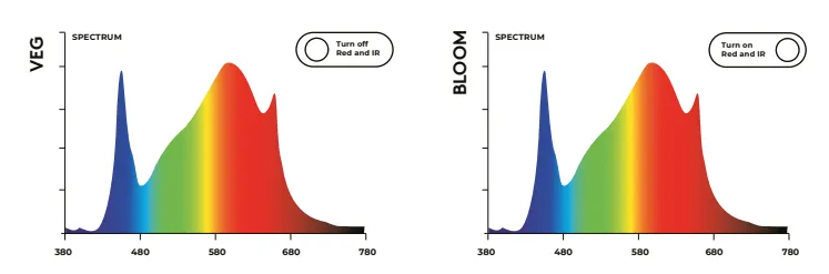 240W spectrum .webp