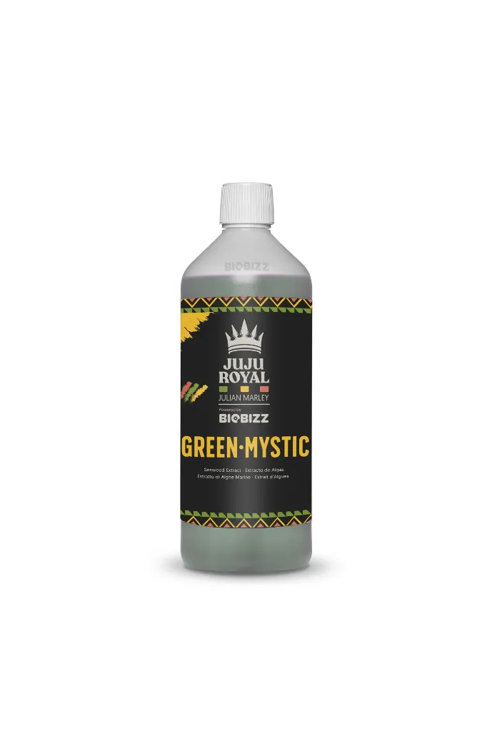 Green·Mystic 1L Shadow.webp