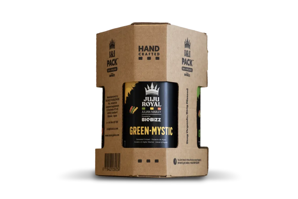 I&I Pack Green·Mystic.webp