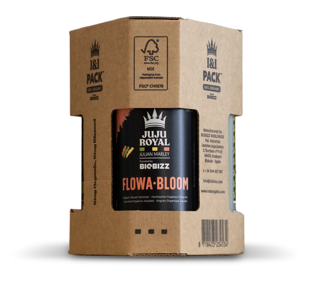 I&I Pack Flowa·Bloom.webp
