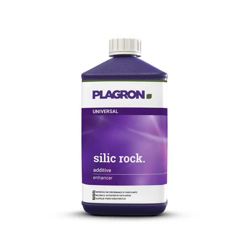 Silic Rock 1L.webp