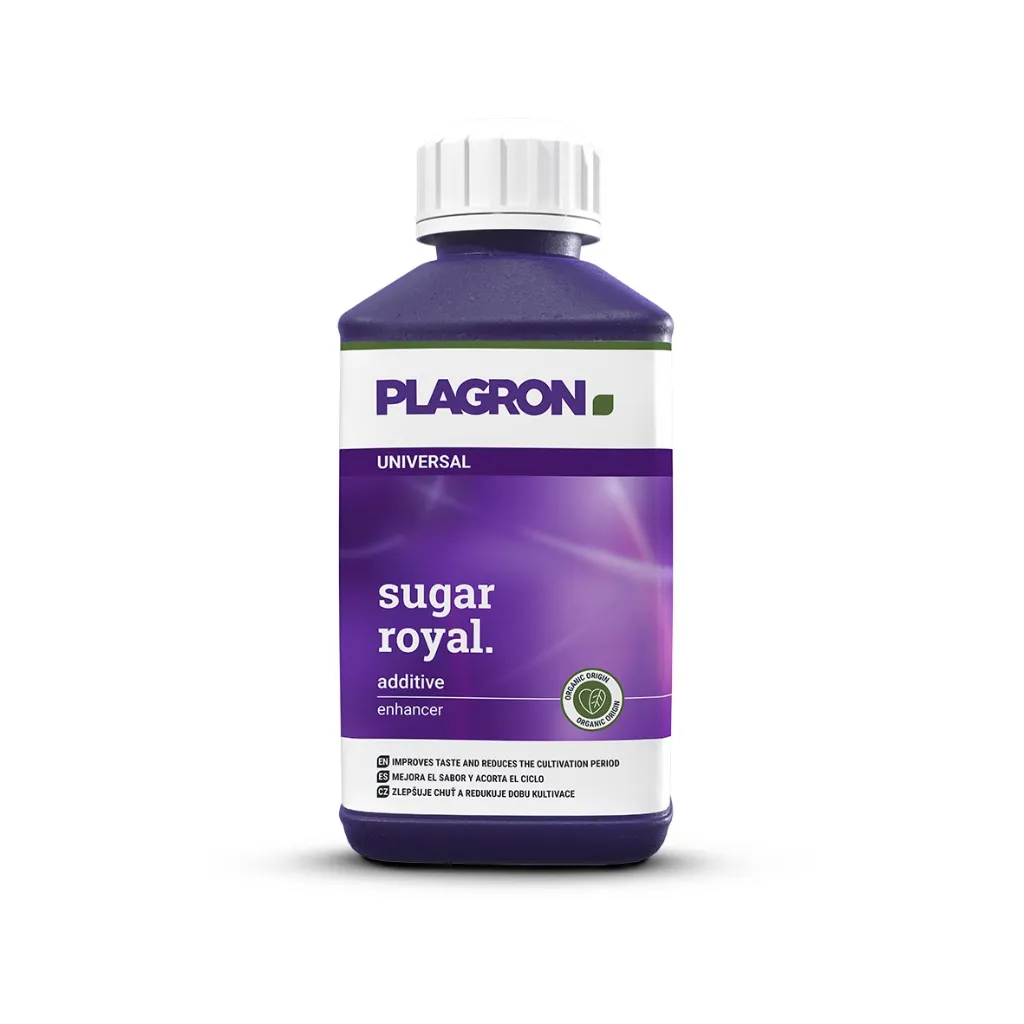 Sugar Royal 250ml.webp