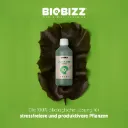 Biobizz | Alg·A·Mic