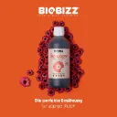 Biobizz | Bio·Bloom