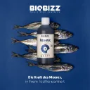 Biobizz | Fish·Mix