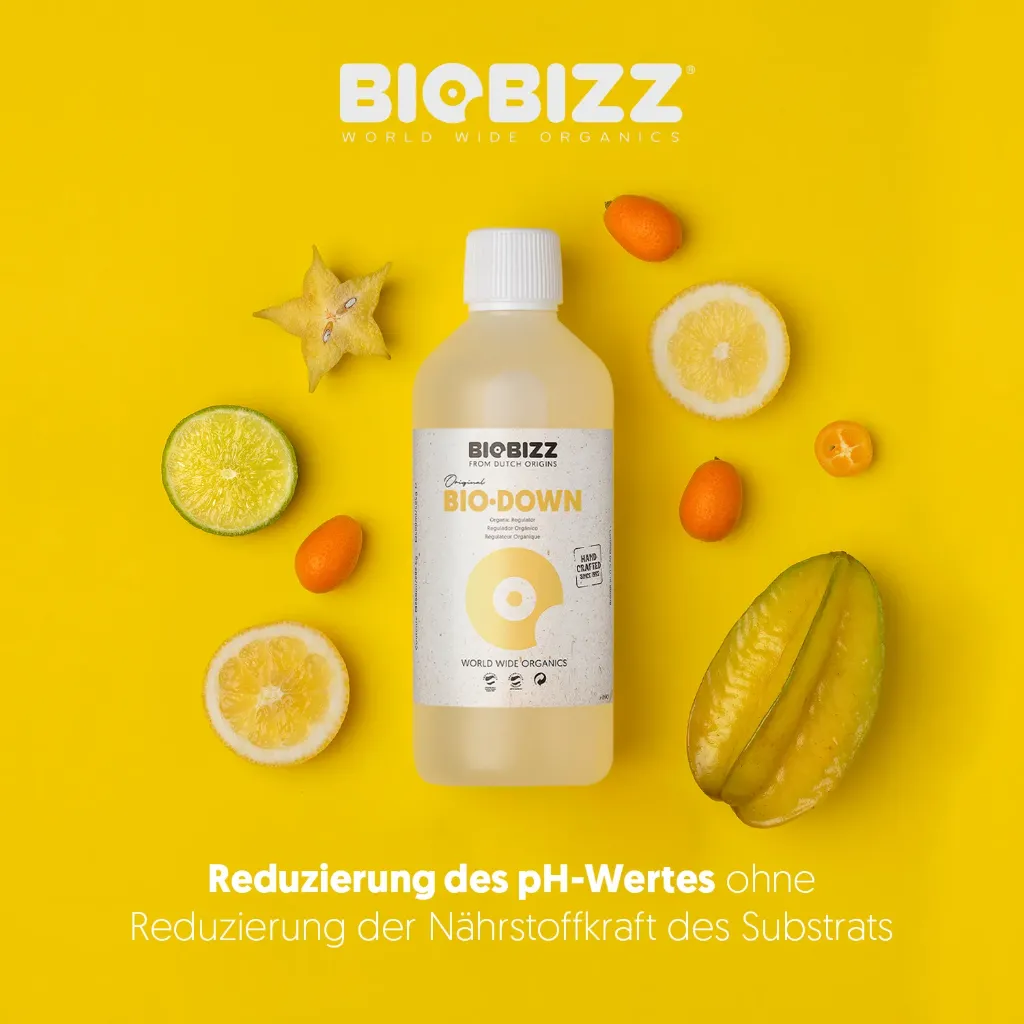 Biobizz | Bio·Down (250 ml)
