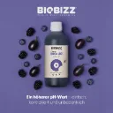 Biobizz | Bio·Up