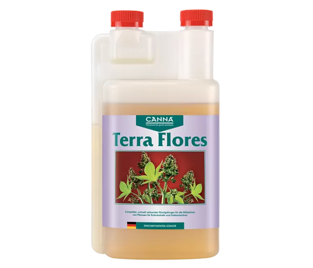 Canna | Terra Flores