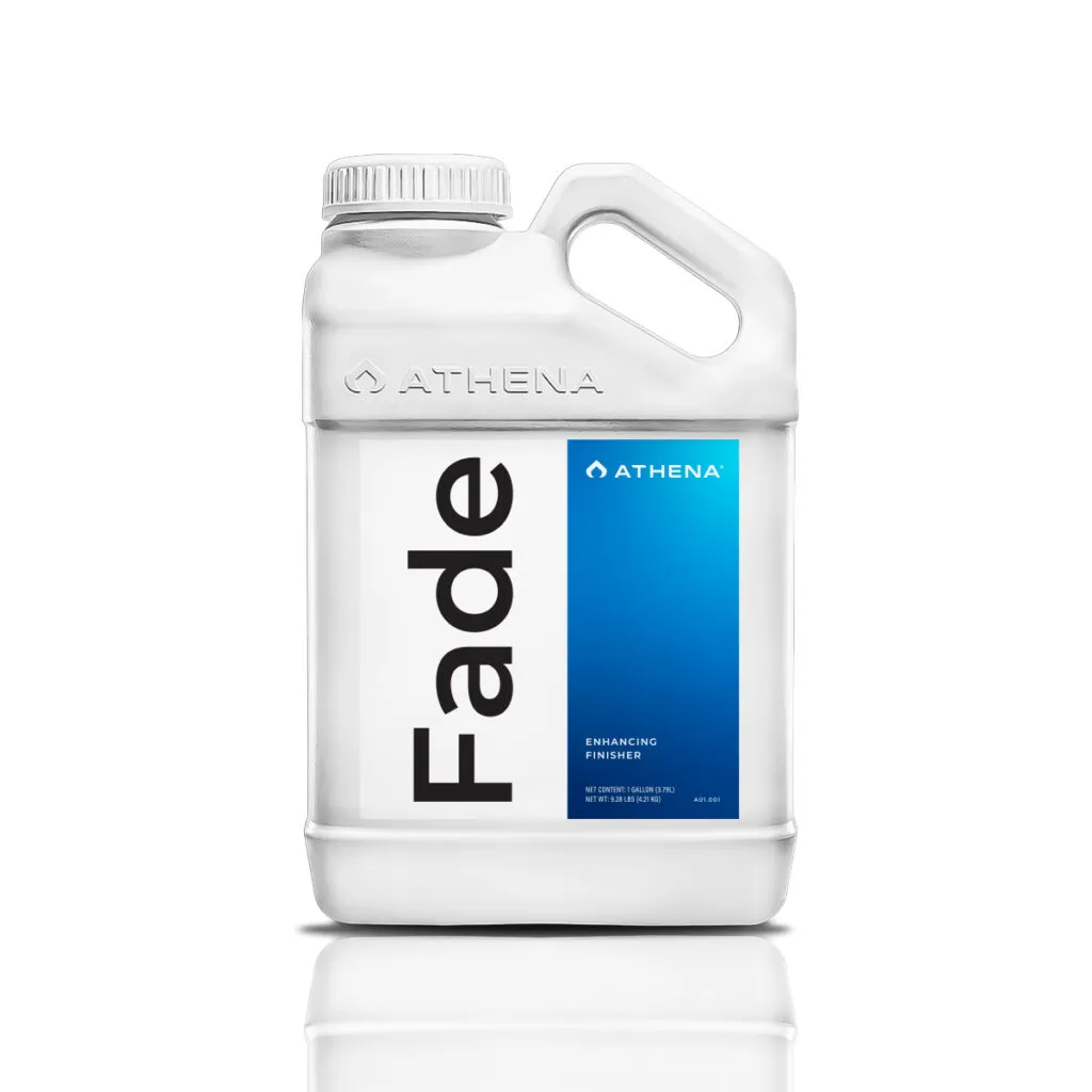Athena | Fade (946 ml)