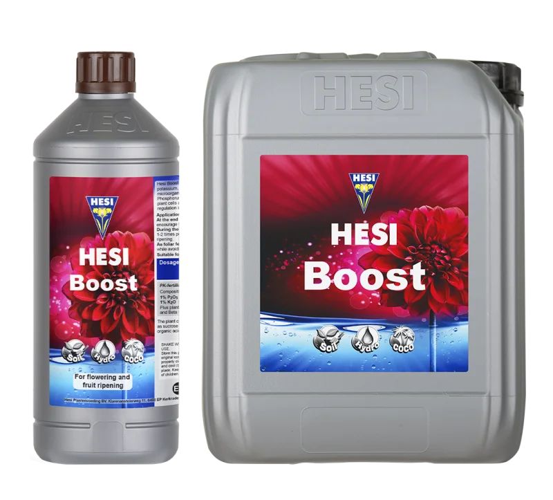 Hesi | Boost